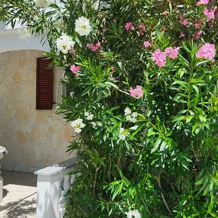 Mit Jacuzzi Und Sauna Appartement Nin