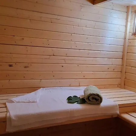 Mit Jacuzzi Und Sauna Lejlighed